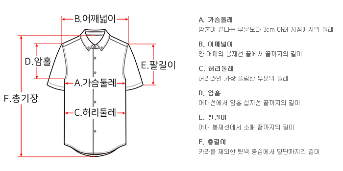 detailinfo shirt